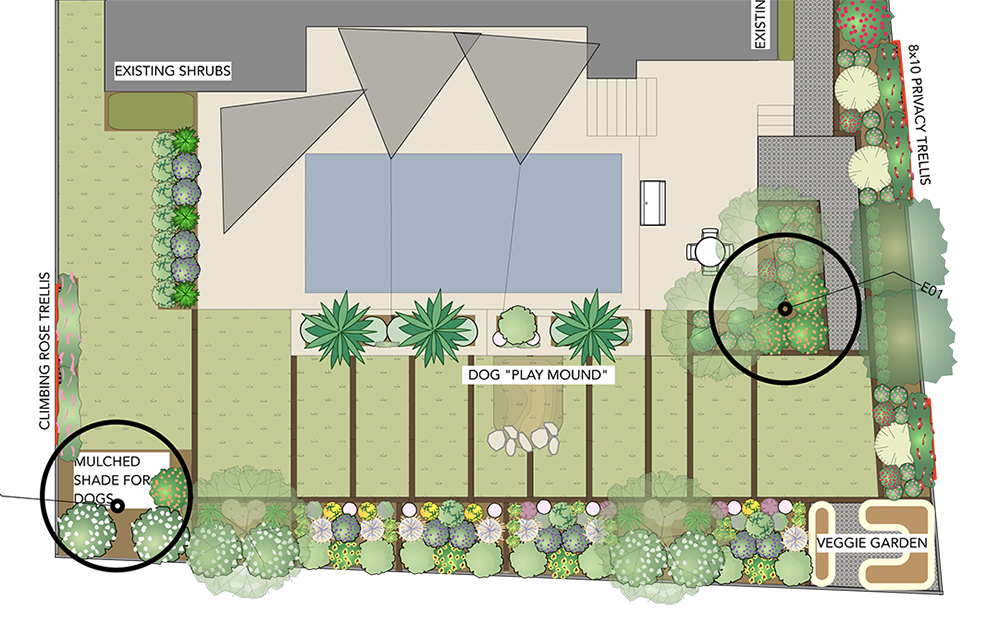 a digital landscape design drawing made from a birds-eye view illustrating how to improve the space through landscape design. Approximately 1000 sqft of the lawn area has been converted to flower beds along the perimeter of the property. These flower beds are drawn with a balanced arrangement of colorful flowering plants, leafy shrubs, and small trees. A railway tie terracing system running perpindicular to the known slope spans the whole lawn area. There are a few call-outs typed on the drawing to briefly explain certain features. The callouts are: Mulched shade for dogs (shown bottom left of drawing, under a tree), dog 'play mound'(in the lawn area near the pool), climing rose trellis (along the fenceline on the left side of the drawing), veggie garden (on the bottom right corner of the drawing at the propertyline), 8x10 privacy trellis (on the top right side of the drawing at the fenceline), 2 existing shrubs are noted (upper left side of drawing abutting the house).