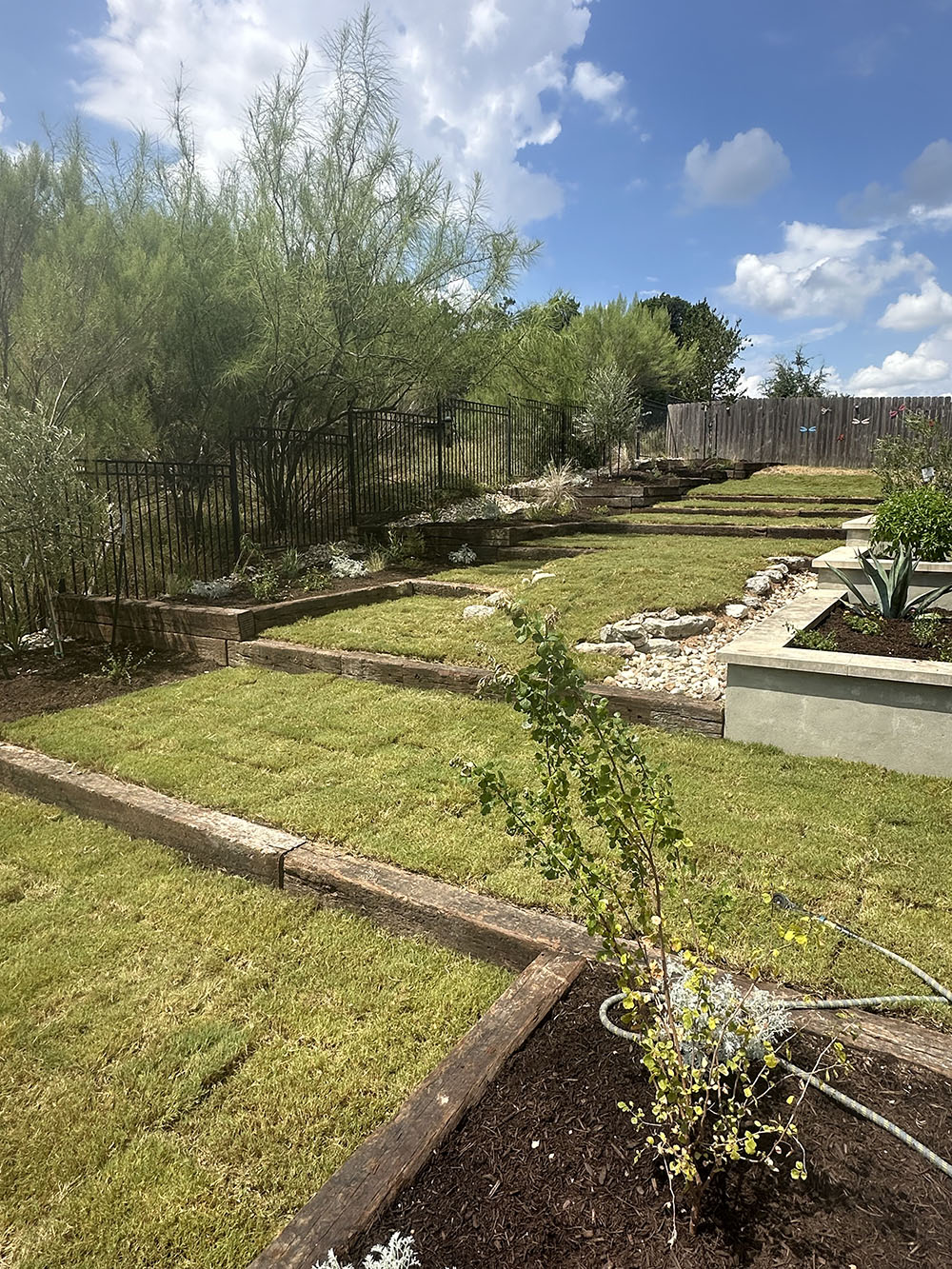 AFTER photograph: railway tie terracing system with new flower beds on the left side rise up the hill. The practically empty existing flower beds have been replanted. The lawn area, now surrounded by fleshly planted flower beds, has been replaced with healthy turfgrass.