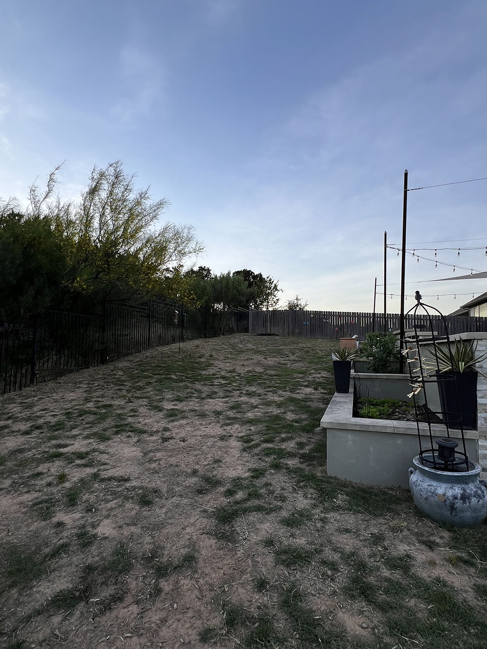 BEFORE photograph: a very sparse lawn on a hill with visible signs of erosion. An existing built-in cement flower bed sits vacant except for one agave on the right side of the image.